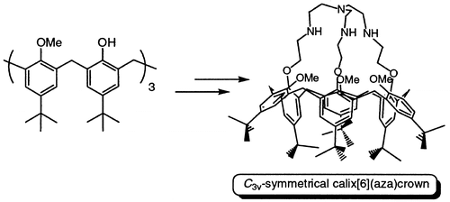 J. Org. Chem. 2003, 68